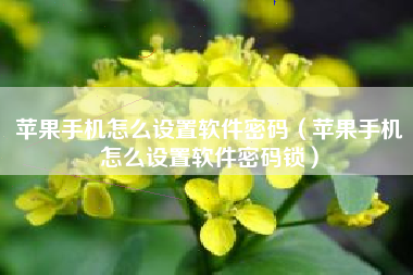 苹果手机怎么设置软件密码(苹果手机怎么设置软件密码锁)